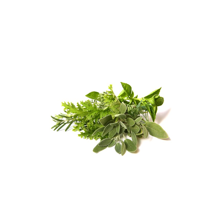 krauter Rosm.thym.salbei