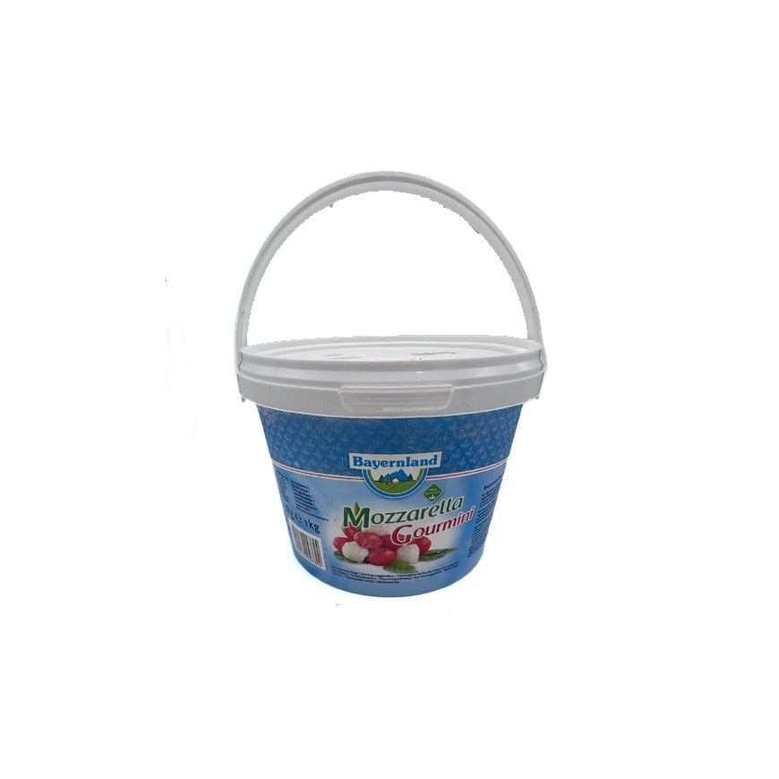 Mozzarella Gourmini 45% 1kg