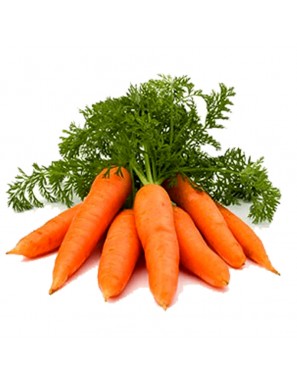 Möhren 12.5kg