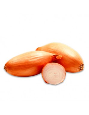 Zwiebeln metzgarai  weiss 25kg