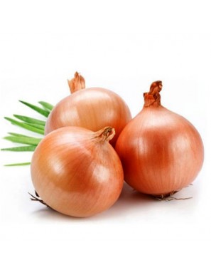 بصل كبير 25kg