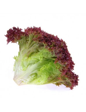 هندبة