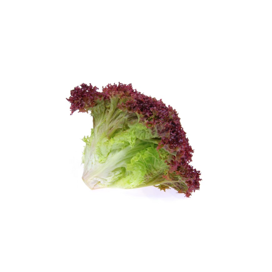 هندبة