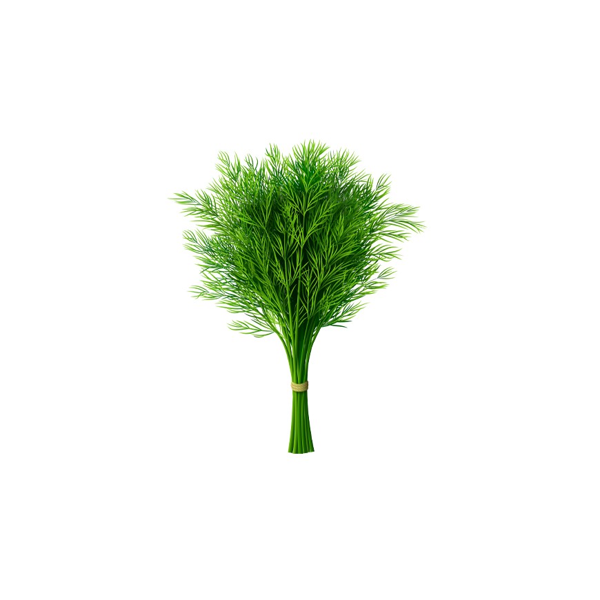 Dill 20 bund