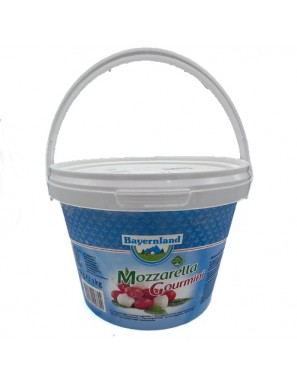 Mozzarella Gourmini 45% 1kg
